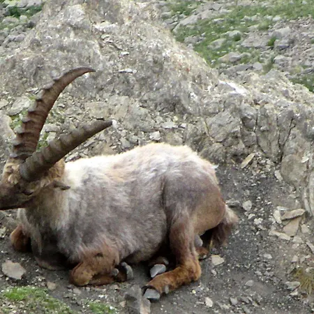 Foux D' Les Etoiles Apartament