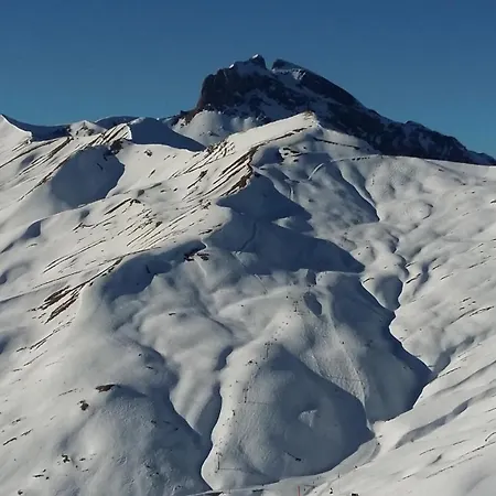 Foux D' Les Etoiles *