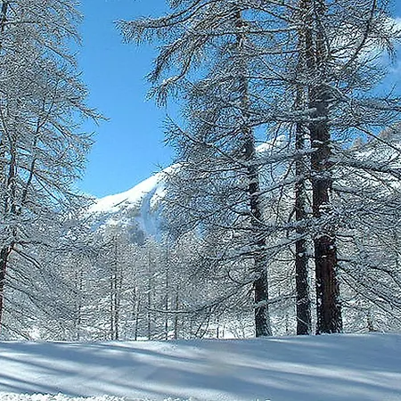 Foux D' Les Etoiles Lägenhet Allos