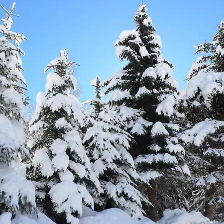 Foux D' Les Etoiles *