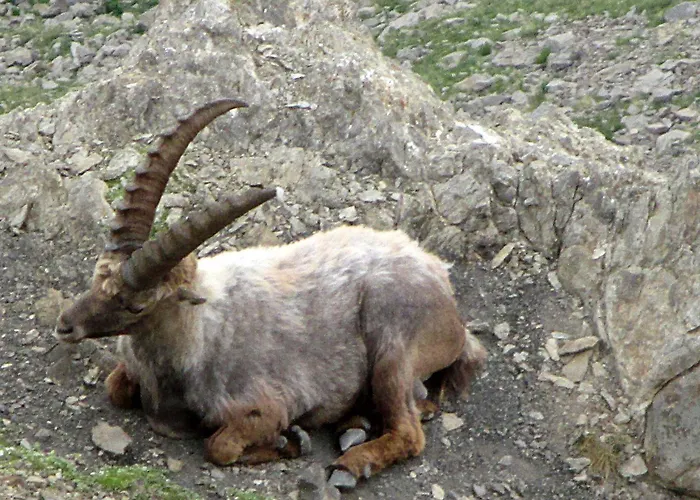 Foux D' Les Etoiles Apartment