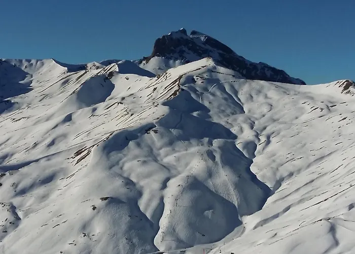 Foux D' Les Etoiles *