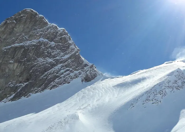 Foux D' Les Etoiles *